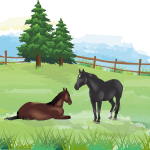 Abogado Ecuestre en Alberic