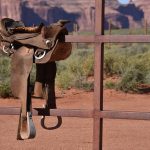 Abogado Ecuestre en Alcúdia (l')