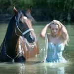 Abogado Ecuestre en Haro