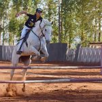 Abogado Ecuestre en Lucena