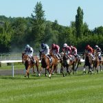 Abogado Ecuestre en Palamós