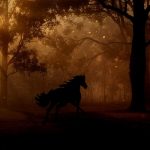 Abogado Ecuestre en Picanya