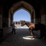 Abogado Ecuestre en San Martín del Rey Aurelio