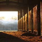 Abogado Ecuestre en Sant Adrià de Besòs