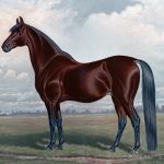 Abogado Ecuestre en Segorbe