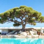 Aldea Bonsai (Ibiza): salir de la multipropiedad con cambio de titular