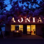Aonia S.L.