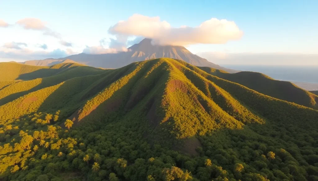 la indefension ante las demandas de tropical park en tenerife