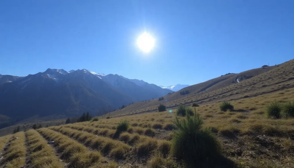 sol neu