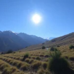 Sol Neu