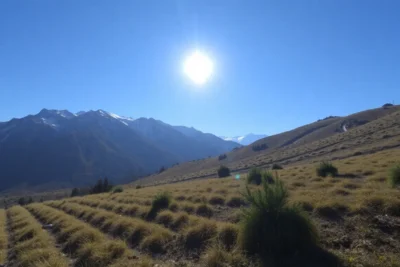 sol neu